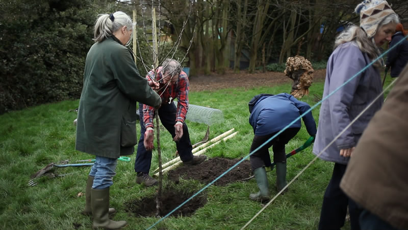 Community Orchard Planting Day (credit Neil Cheshire)