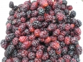 Juicy mulberries