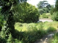 The garden in 2011 before we started work